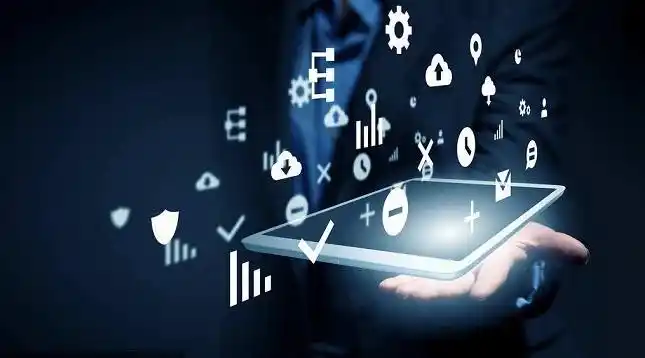 熊出没！日本多地启用人工智能监测系统