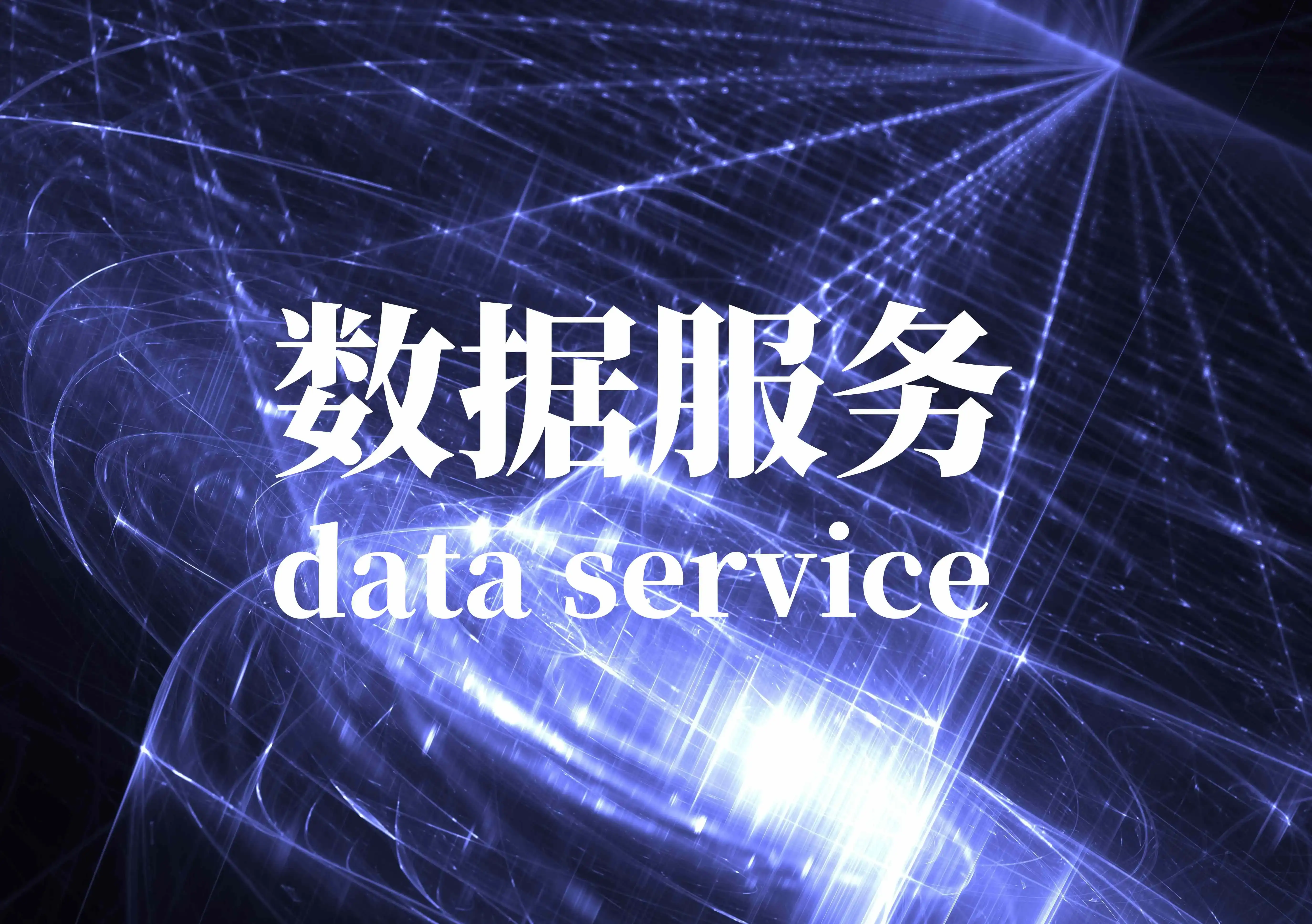 数据服务